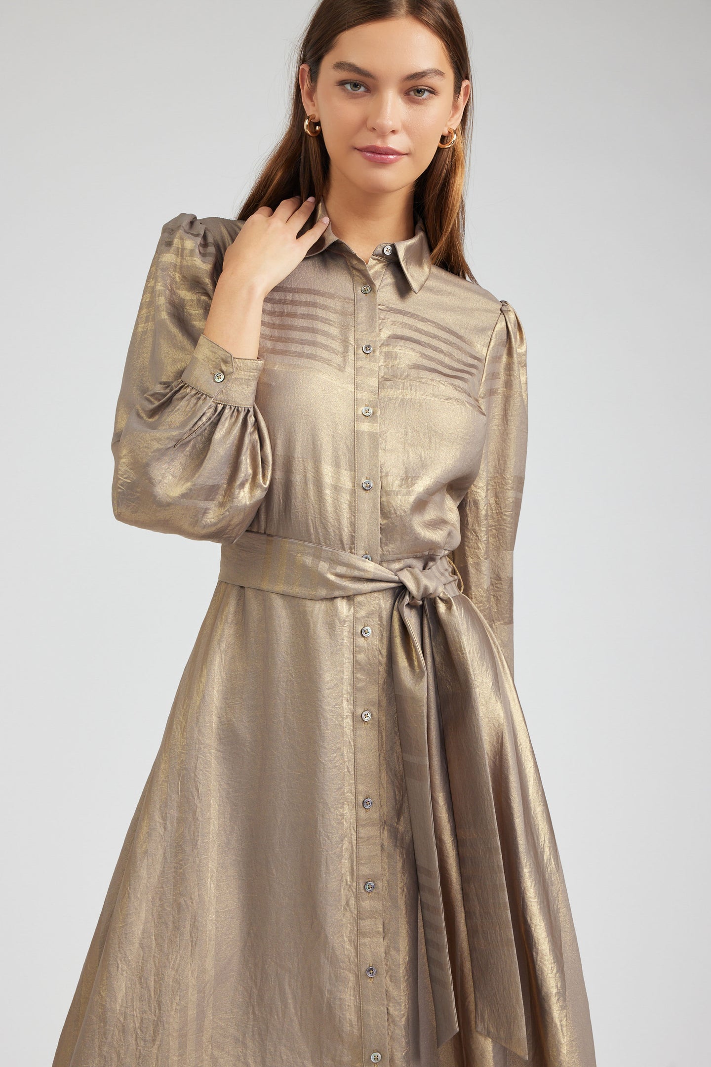 Metallic Buttondown Dress